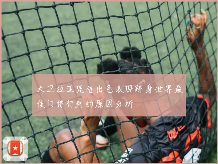 大卫拉亚凭借出色表现跻身世界最佳门将行列的原因分析